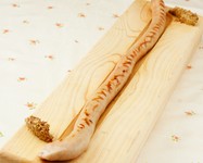 オリジナルで作ったソーセージ 50cm1480円 1m2580円