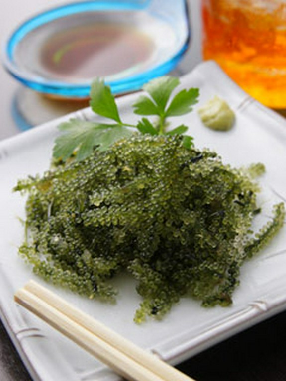 沖縄直送　プチプチ海ぶどう