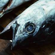 イタリア料理は郷土料理に集合です。銀座のすぐそばには築地という食材の宝庫がありますので、そこから得られるマグロをはじめカンパチや白子など新鮮な魚介類などを「地のもの」として郷土料理を提供しています。
