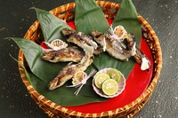 7700～11000円御予算により御献立内容が異なります。＊感染防止対策の為、現在は全て個別配膳にて御提供致しておりますが、活作りに関しましてはご要望により大漁盛込も可能です。ご希望の場合はお申し付け下さい。
