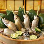 清流の恵み岩魚は、やはり塩焼きがお勧め。遠火丁寧にじっくり焼き上げます。香ばしい香りが立ち込めます。