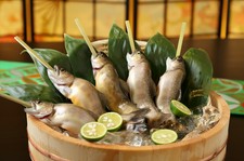 郷土料理会席＋飲み放題
＊感染防止対策の為、現在は全て個別配膳にて御提供致しておりますが。