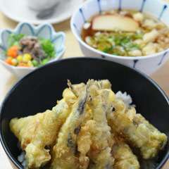 目ひかり丼定食（小うどん付）