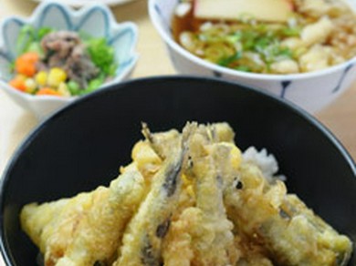 目ひかり丼定食（小うどん付）