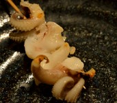 ぷりぷり食感が楽しめます。