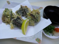 ブランド豚を天ぷらに!
しその葉と海苔の2種類をお楽しみ下さい。
おろしポン酢とよく合います。
