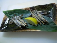 地元では、人気の高い小魚。
頭もしっぽも全部食べられる、栄養価の高い、
美味しいお魚です。
