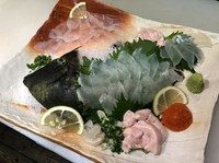その日の生簀に入っている魚で刺身