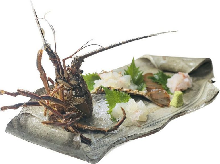 12月12日、伊勢エビ入荷。