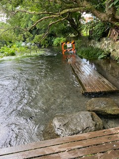 三島好 源平川 2020夏は増水!!見事に冠水しています。