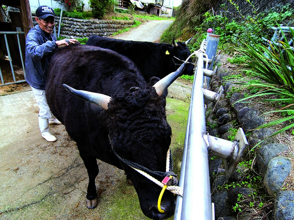 愛情たっぷりの　ブラッシング！