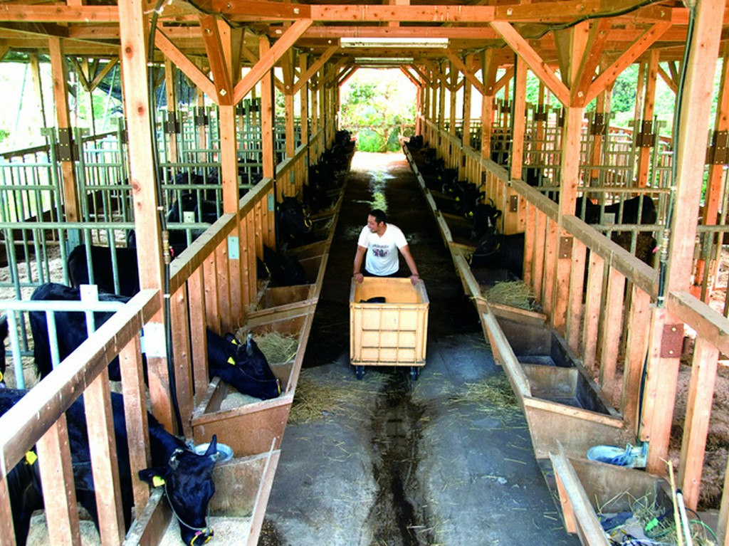 1頭1頭大切に丁寧に育てられています。