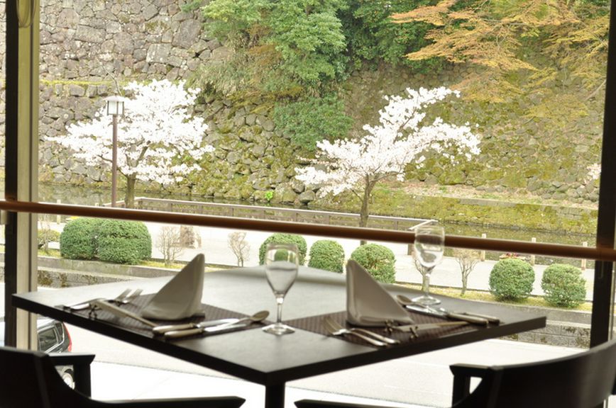 目の前が桜並木です。