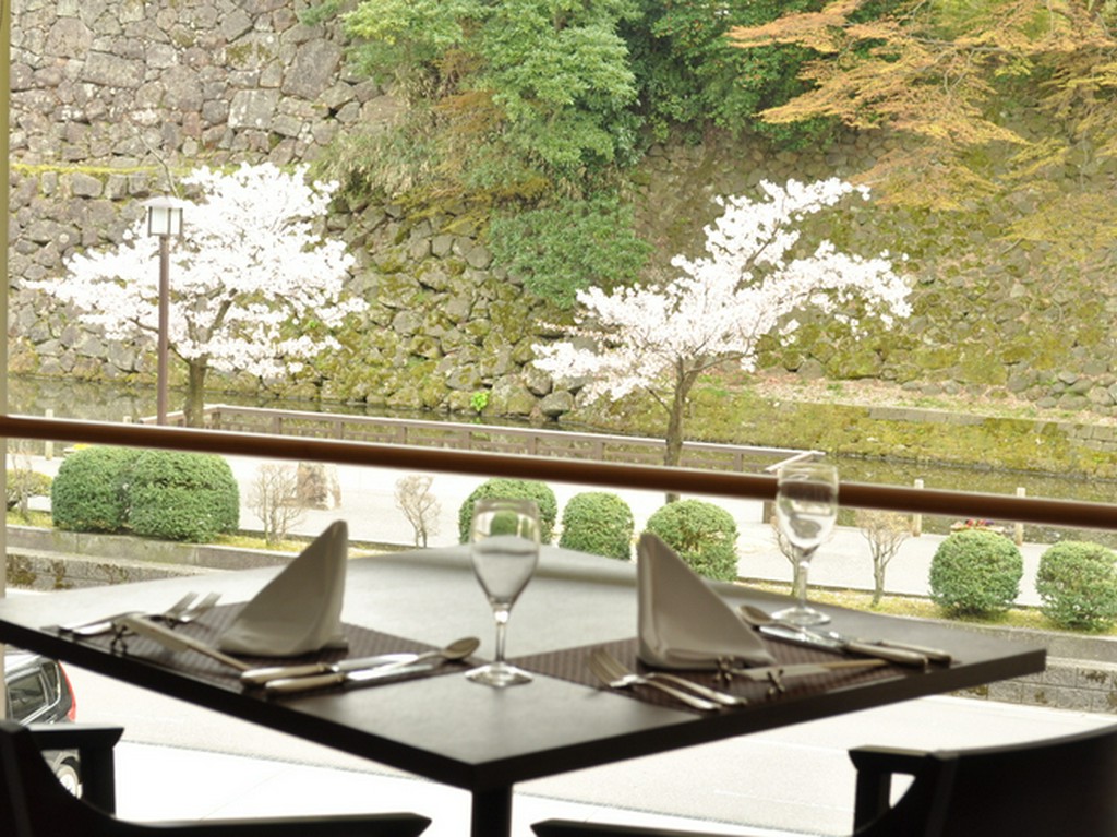 目の前が桜並木です。