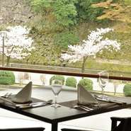 レストランから見える桜並木。
昼も夜も桜景色が楽しめます。
また、お花見シーズンは大変込み合います為
ご予約をお薦め致します。