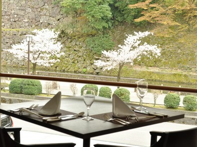 目の前が桜並木です。