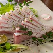 ブリ刺身