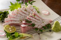 ※本日の刺身 一例
季節や仕入れ状況のよりメニューが変わります、
店内のメニュー「本日のおすすめ」をご覧ください