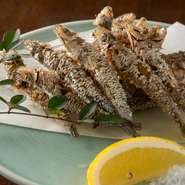 ドンゴロイワシ唐揚げ