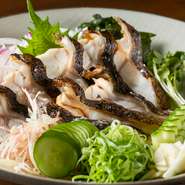 コラーゲンたっぷりで高知の珍味として今、話題のうつぼ料理ですので是非、ご賞味ください。