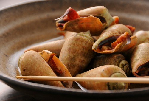 チャンバラ貝磯煮（土佐の珍味）