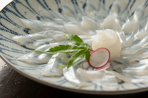 タチイカ刺身 1200円