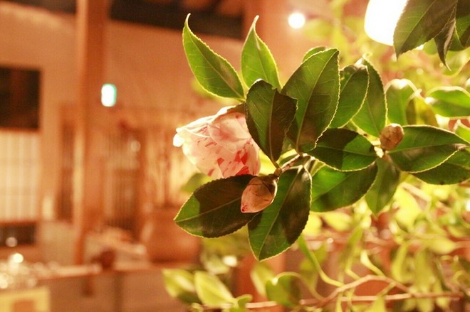 演出・サービスに特徴がある