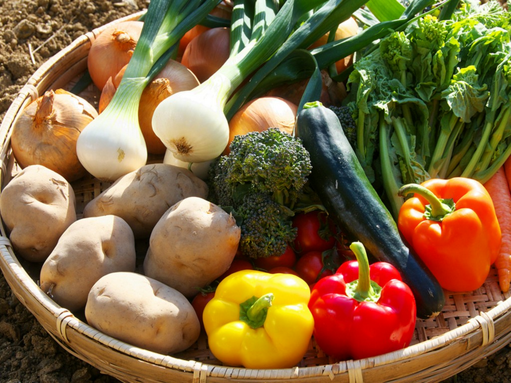 自家菜園で作った野菜たち。