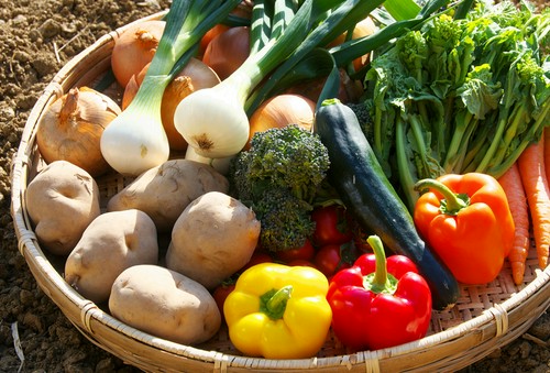 自家菜園で作った野菜たち。