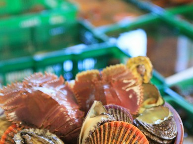 広大なうちの海で育てた新鮮な焼がきで親睦を深める