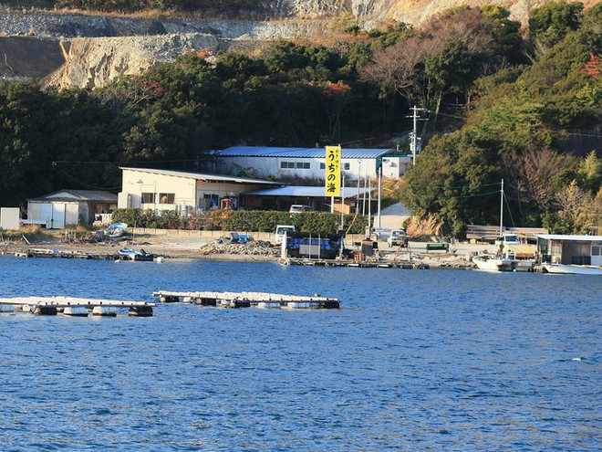 海が見える