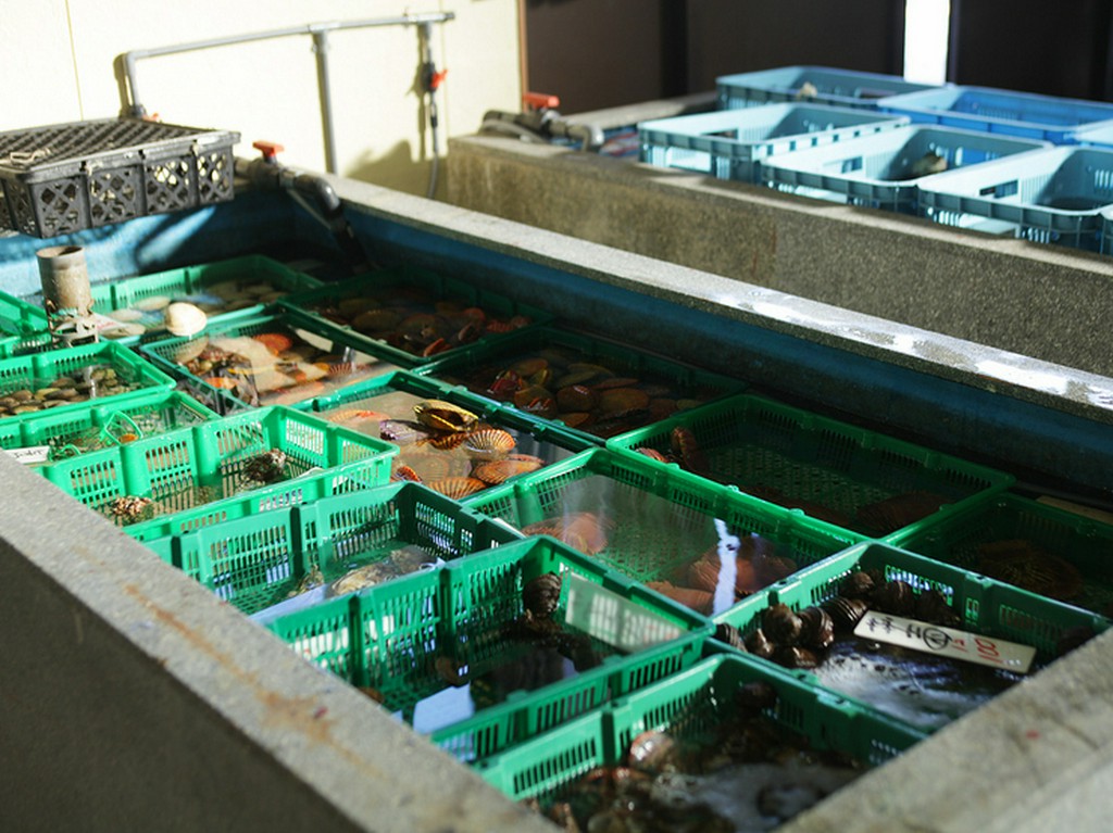 自慢のいけす。お持ち帰りはお気軽に声をかけて下さい。特価です