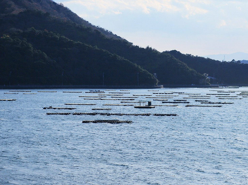 店の前はすぐ海！広大なうちの海、夏にはまた更に良いところ！