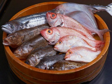 旬な地魚と水槽の活魚