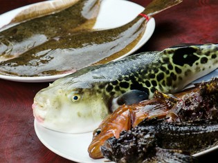 地産地消が基本。旬の魚貝類から野菜、お米なども地元仕入れ