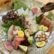 おこぜ1匹　水槽より