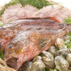 鮮度抜群の魚介を仕入れています。