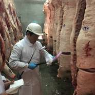 松阪牛の中から竹屋牛肉店の基準にあった松阪牛のみ一頭買い