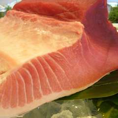 6月から生本マグロの”旬”の始まりです