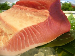 6月から生本マグロの”旬”の始まりです