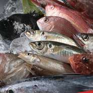 おかめ鮨は千葉県館山市船形漁港より産地直送で天然地魚を仕入れております。この船形漁港は築地市場で日本一うまい魚が取れる場所としても有名です。この最高の魚（ネタ）で本物の江戸前寿司を提供しております。