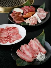 하레야