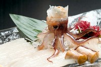 活イカ