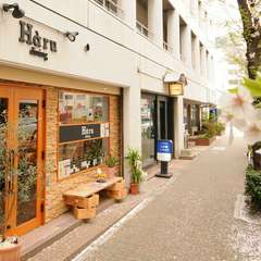 日本橋　『桜通り』沿いなので、桜を見ながらお食事を楽しめます