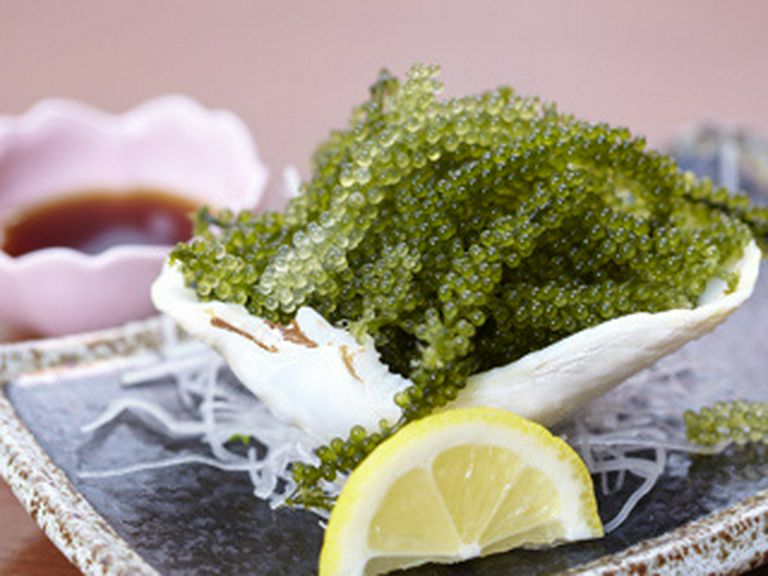 沖縄に来たらまず食べたい一品! 『海ぶどう』