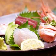 毎日、漁港から仕入れる鮮魚の盛り合わせ！