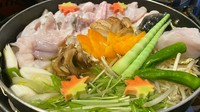 ボリュームたっぷりのとらふぐに定評頂いております。当店ではポン酢以外にも数多くのお召し上がり方が御座います。是非、ご賞味くださいませ。