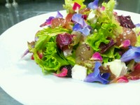 - Insalata di prosciutto crudo e uva con camembert all'arancie rossa -