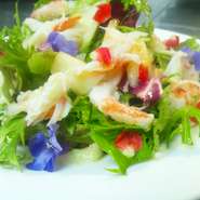 王女のサラダ・プリンチペッサ　 パウダーチーズとクリーミードレッシング
- Insalata della principessa -