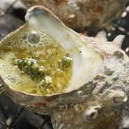 土佐清水産の活サバきずし・・・・・・・・・&yen;580
土佐清水産の活サバ棒寿司・・・・・・・・・&yen;960
サーモンはらすの塩麹焼き・・・・・・・・・&yen;390
ホッケの王様！ 特大シマホッケ開き・・・・・・&yen;690
シアアジのカマ焼き・・・・・・・・・・・・&yen;360
鯛あら炊き・・・・・・・・・・・・・・・・&yen;460
おまかせ刺身６種盛合せ・・・・（2～3人前程度）&yen;1300